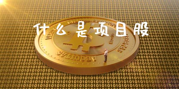 什么是项目股_国际股建_第1张_快捷排财经网 什么是项目股_https://www.kuaijiepai.net_国际股建_第1张