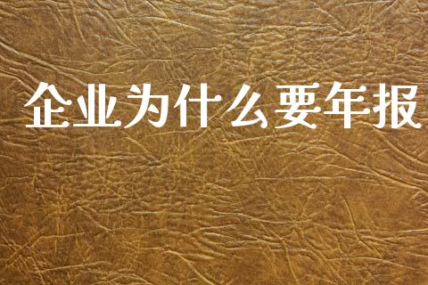 企业为什么要年报_https://www.kuaijiepai.net_新股新闻_第1张