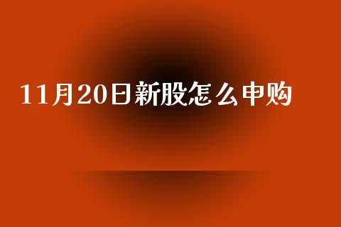 11月20日新股怎么申购_https://www.kuaijiepai.net_期货在线_第1张