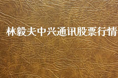 林毅夫中兴通讯股票行情_https://www.kuaijiepai.net_国际股建_第1张