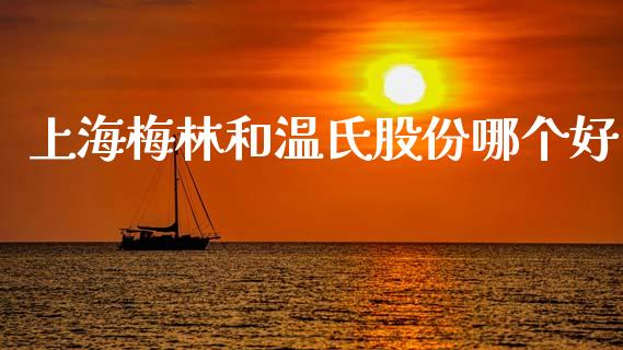 上海梅林和温氏股份哪个好_https://www.kuaijiepai.net_新股新闻_第1张