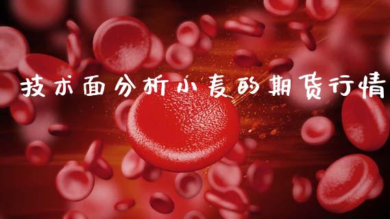 技术面分析小麦的期货行情_https://www.kuaijiepai.net_期货资讯_第1张