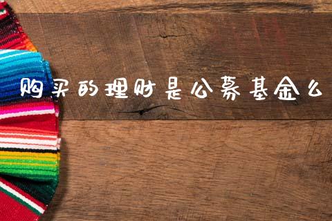 购买的理财是公募基金么_https://www.kuaijiepai.net_期货理财_第1张