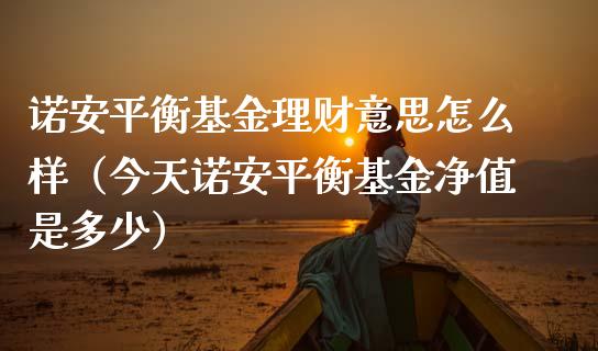 诺安平衡基金理财意思怎么样（今天诺安平衡基金净值是多少）_https://www.kuaijiepai.net_投资理财_第1张
