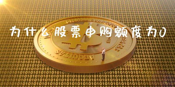 为什么股票申购额度为0_https://www.kuaijiepai.net_新股新闻_第1张