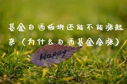 基金白酒板块还能不能涨起来（为什么白酒基金会涨）_https://www.kuaijiepai.net_期货理财_第1张