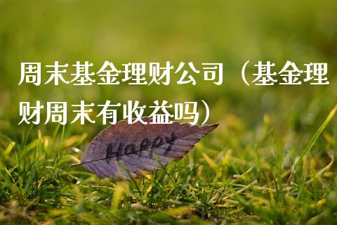 周末基金理财公司（基金理财周末有收益吗）_https://www.kuaijiepai.net_投资理财_第1张