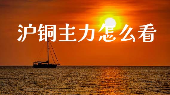 沪铜主力怎么看_https://www.kuaijiepai.net_期货资讯_第1张