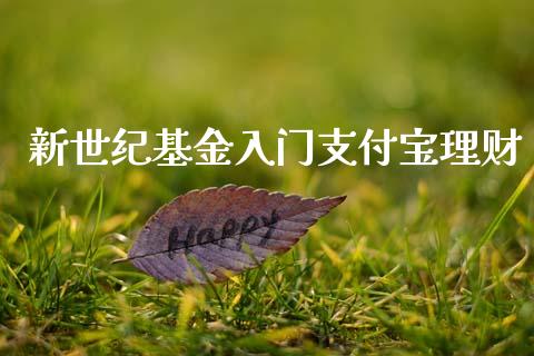 新世纪基金入门支付宝理财_https://www.kuaijiepai.net_投资理财_第1张