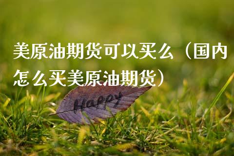 美原油期货可以买么（国内怎么买美原油期货）_https://www.kuaijiepai.net_国际期货_第1张
