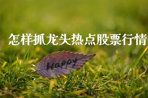 怎样抓龙头热点股票行情_https://www.kuaijiepai.net_股票理论_第1张