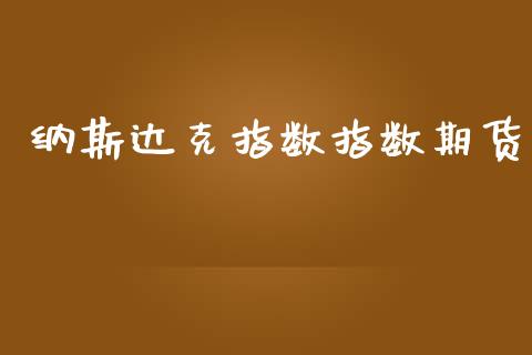 纳斯达克指数指数期货_https://www.kuaijiepai.net_国际期货_第1张