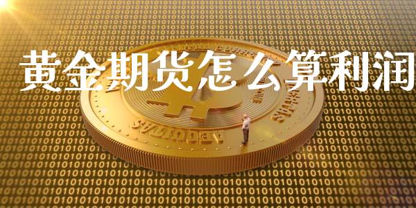 黄金期货怎么算利润_https://www.kuaijiepai.net_国际期货_第1张