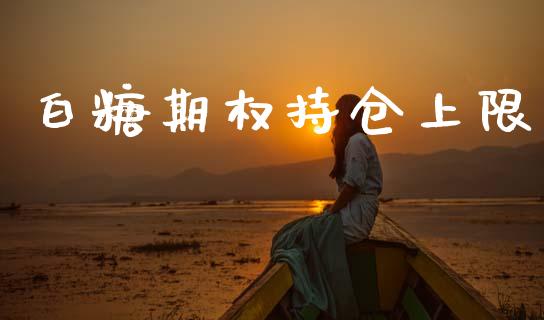 白糖期权持仓上限_https://www.kuaijiepai.net_期货资讯_第1张