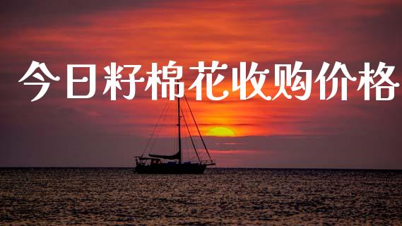 今日籽棉花收购价格_https://www.kuaijiepai.net_期货资讯_第1张