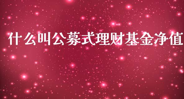 什么叫公募式理财基金净值_https://www.kuaijiepai.net_投资理财_第1张
