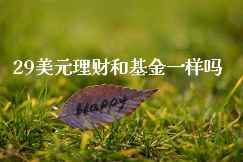 29美元理财和基金一样吗_https://www.kuaijiepai.net_投资理财_第1张
