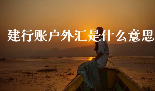 建行账户外汇是什么意思_https://www.kuaijiepai.net_新股新闻_第1张