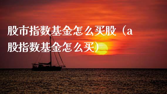 股市指数基金怎么买股（a股指数基金怎么买）_https://www.kuaijiepai.net_期货理财_第1张