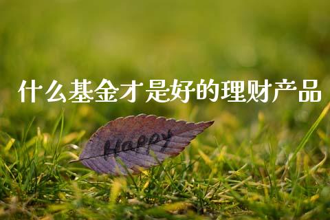 什么基金才是好的理财产品_https://www.kuaijiepai.net_投资理财_第1张