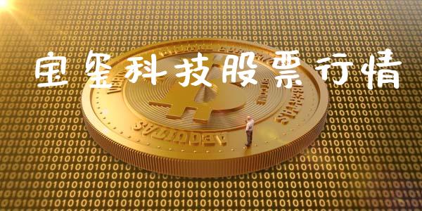 宝玺科技股票行情_https://www.kuaijiepai.net_新股新闻_第1张