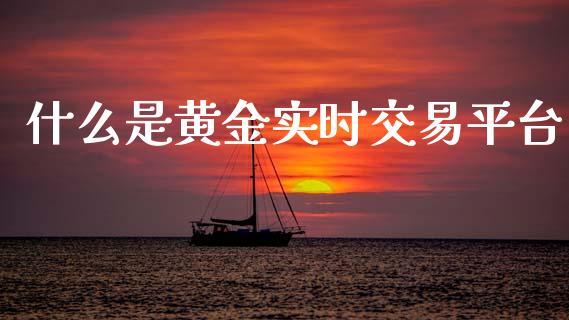什么是黄金实时交易平台_https://www.kuaijiepai.net_投资理财_第1张