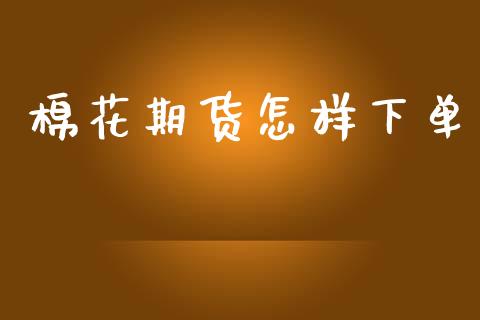 棉花期货怎样下单_https://www.kuaijiepai.net_期货资讯_第1张