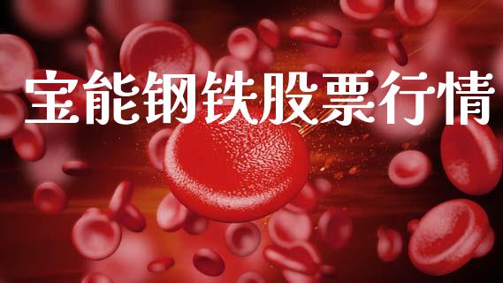 宝能钢铁股票行情_https://www.kuaijiepai.net_新股新闻_第1张