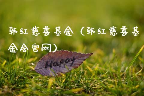 韩红慈善基金（韩红慈善基金会官网）_https://www.kuaijiepai.net_期货理财_第1张