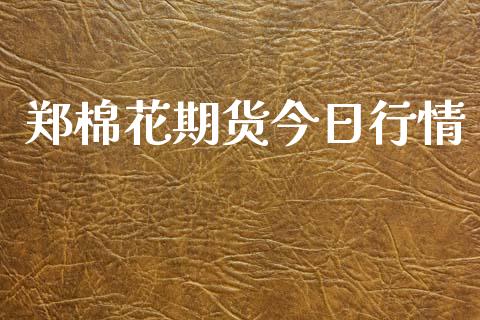 郑棉花期货今日行情_https://www.kuaijiepai.net_期货资讯_第1张