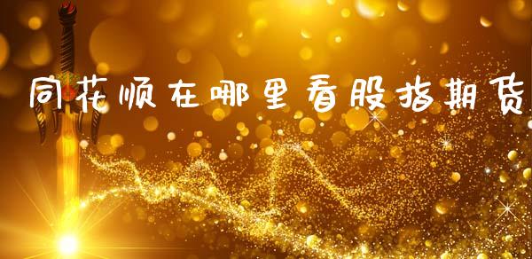 同花顺在哪里看股指期货_https://www.kuaijiepai.net_国际期货_第1张