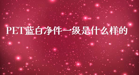 PET蓝白净件一级是什么样的_https://www.kuaijiepai.net_期货在线_第1张