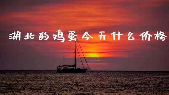 湖北的鸡蛋今天什么价格_https://www.kuaijiepai.net_国际期货_第1张