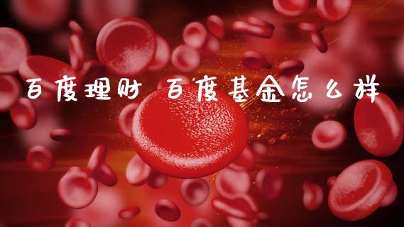百度理财 百度基金怎么样_https://www.kuaijiepai.net_投资理财_第1张