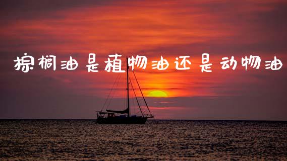 棕榈油是植物油还是动物油_https://www.kuaijiepai.net_期货资讯_第1张