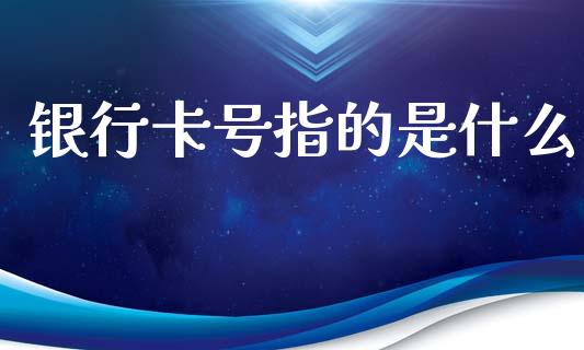 银行卡号指的是什么_https://www.kuaijiepai.net_新股新闻_第1张