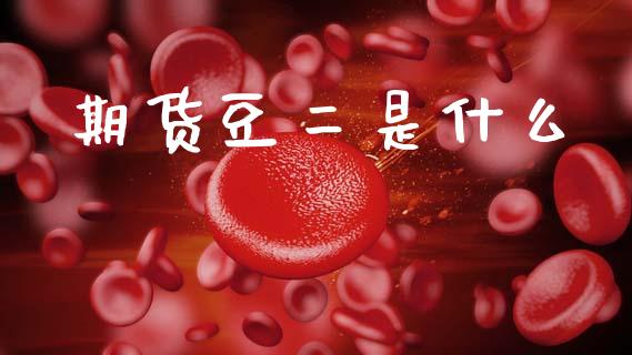 期货豆二是什么_https://www.kuaijiepai.net_期货在线_第1张