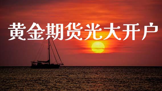 黄金期货光大开户_https://www.kuaijiepai.net_期货资讯_第1张