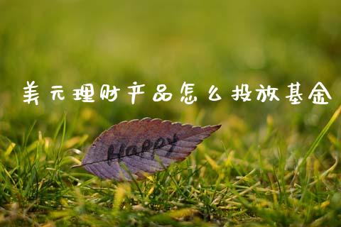 美元理财产品怎么投放基金_https://www.kuaijiepai.net_投资理财_第1张