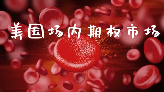 美国场内期权市场_https://www.kuaijiepai.net_股票理论_第1张