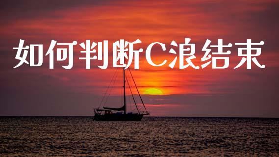 如何判断C浪结束_https://www.kuaijiepai.net_国际期货_第1张