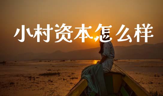 小村资本怎么样_https://www.kuaijiepai.net_期货资讯_第1张
