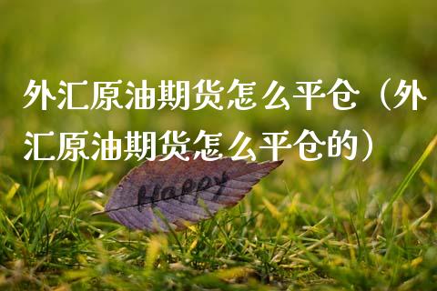 外汇原油期货怎么平仓（外汇原油期货怎么平仓的）_https://www.kuaijiepai.net_期货资讯_第1张