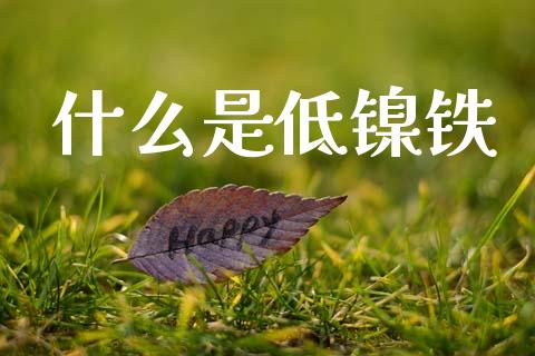 什么是低镍铁_股票理论_第1张_快捷排财经网 什么是低镍铁_https://www.kuaijiepai.net_股票理论_第1张