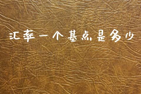 汇率一个基点是多少_https://www.kuaijiepai.net_国际股建_第1张