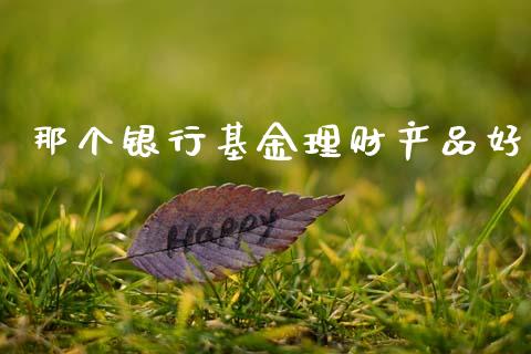 那个银行基金理财产品好_https://www.kuaijiepai.net_期货理财_第1张