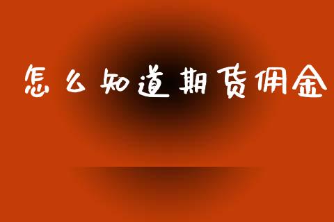 怎么知道期货佣金_https://www.kuaijiepai.net_期货在线_第1张