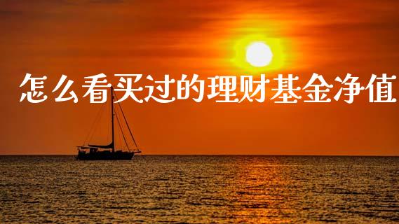 怎么看买过的理财基金净值_https://www.kuaijiepai.net_投资理财_第1张