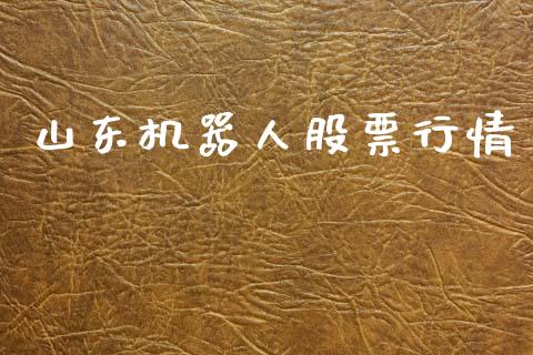 山东机器人股票行情_https://www.kuaijiepai.net_股票理论_第1张
