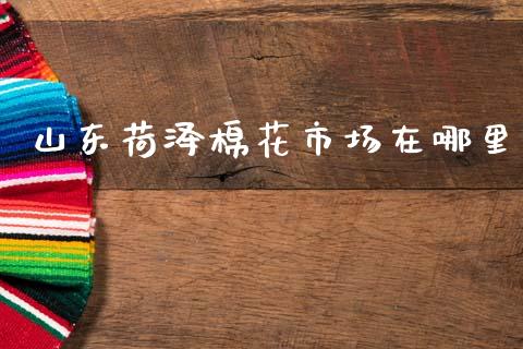 山东荷泽棉花市场在哪里_https://www.kuaijiepai.net_期货资讯_第1张